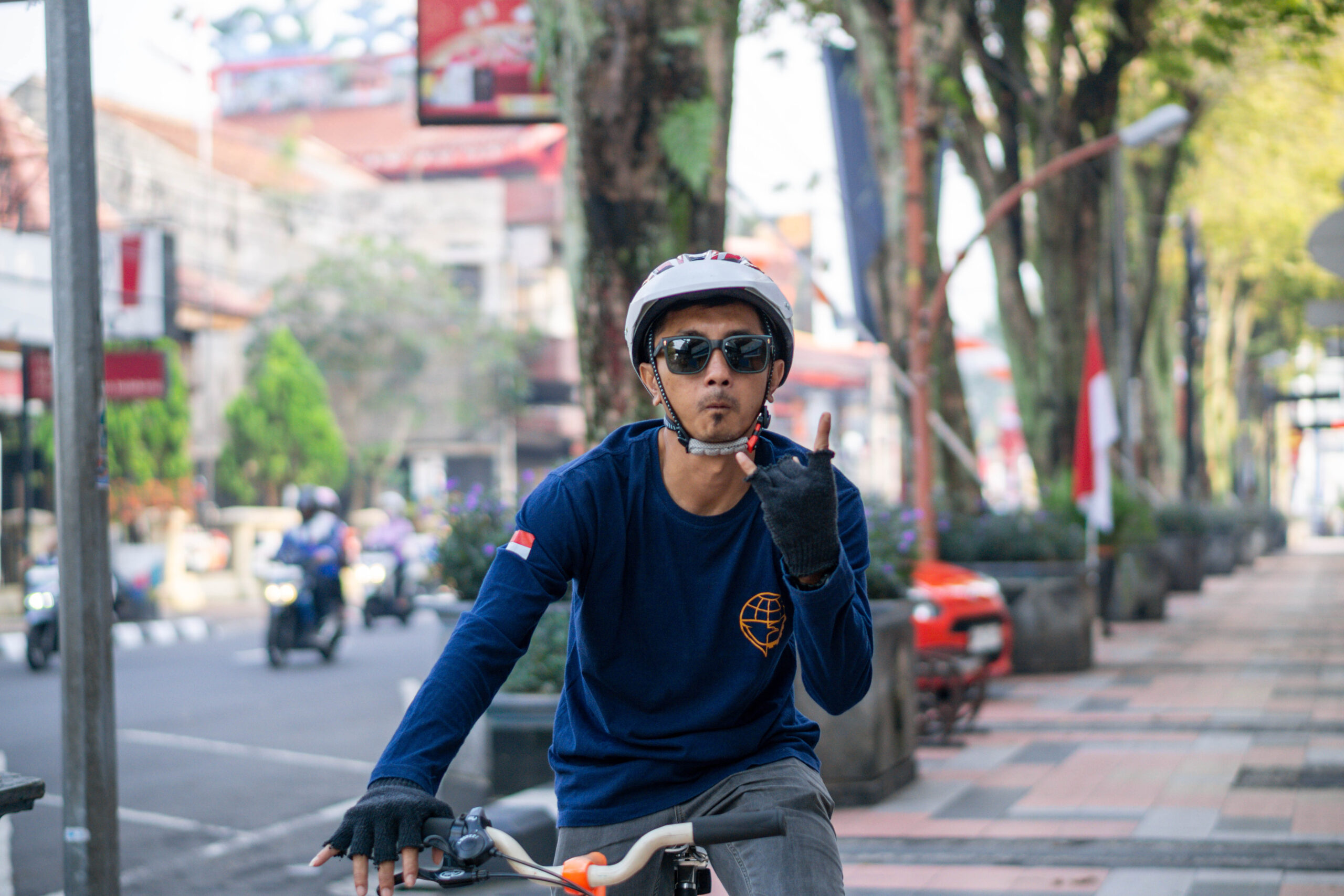 DSHB SPD-239